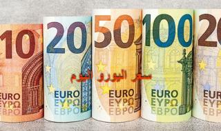 أسعار اليورو اليوم 8 يونيو 2024