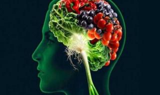 كنز رباني .. هذا الطعام يقوي الذاكرة ويغذي المخ ويحسن بنية الدماغ ... ( تعرف عليه الآن )