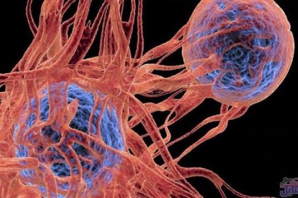 نتائج دراسة تكشف عن علاج فعال لمرضى السرطان