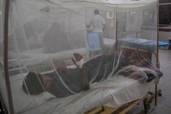 السلطات الصحية في إسبانيا تؤكد انتقال حمى الضنك عن طريق الجنس