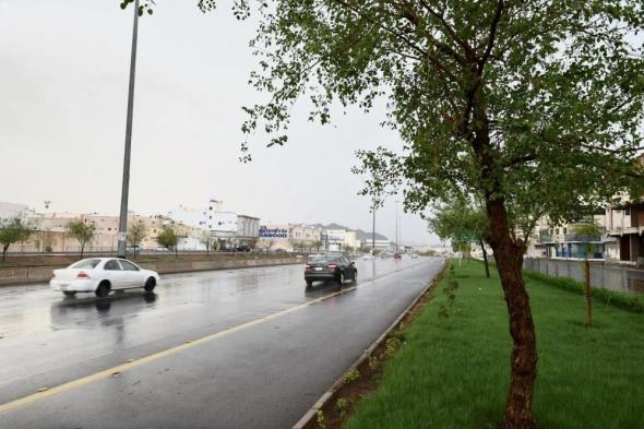 أمطار رعدية وصواعق بالمدينة المنورة.. و"المدني" يدعو لتوخي الحذر
