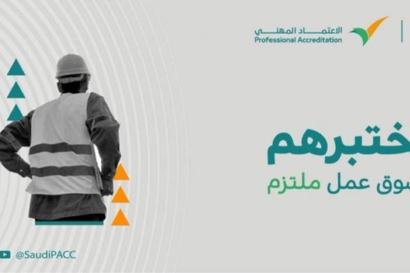 برنامج الاعتماد المهني يبدأ أعمال الفحص في جمهورية مصر العربية