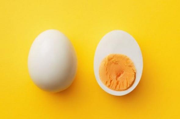 تراند اليوم : بياض البيض أم البيضة الكاملة.. ما هو أكثر صحة؟ اقرأ واكتشف
