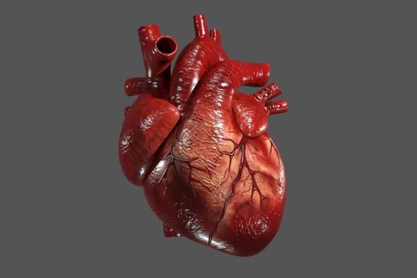 الامارات | ابتكار طبي رائد.. نجاح أول عملية زرع قلب جزئي في العالم