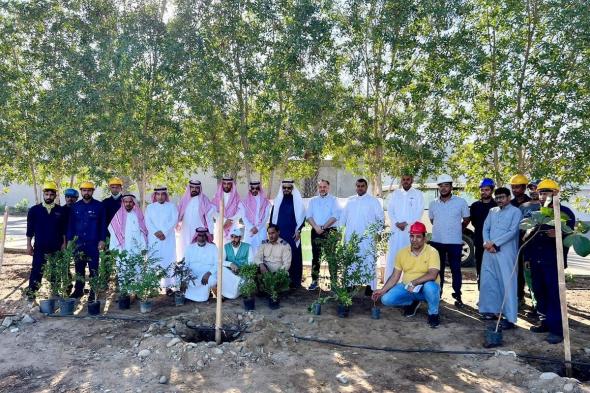 بالصور.. "بيئة رابغ" تنفذ حملة تطوعية للتشجير بالتعاون مع مركز تنمية الغطاء النباتي