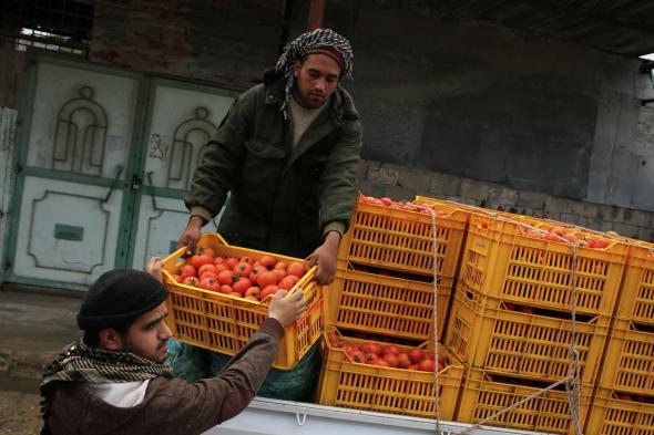 غضب في الأردن بسبب تصدير خضراوات وفاكهة لإسرائيل والحكومة تنفي