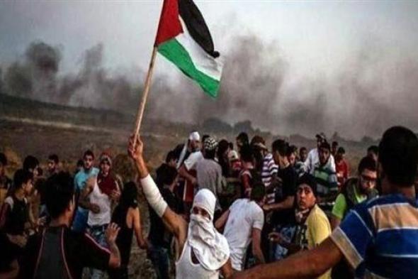 جريمة جديدة.. الاحتلال الإسرائيلي ينبش القبور ويسرق جثث شهداء غزة