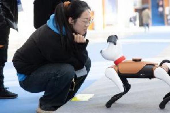 تكنولوجيا: دراسة: امتلاك حيوانات أليفة روبوتية يخفض مستوى التوتر لدى الإنسان