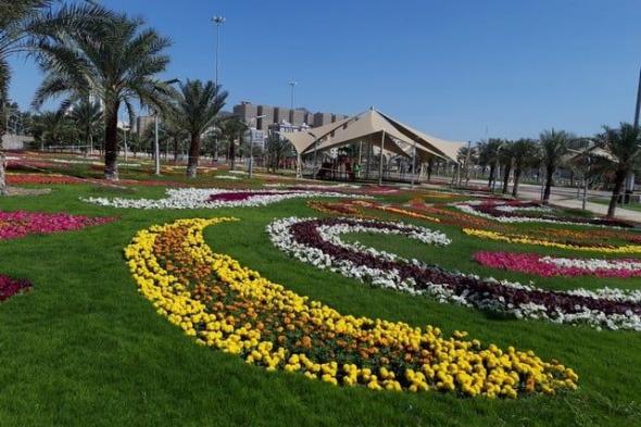 290 حديقة وملاعب منوعة.. مرافق سياحية حديثة في مكة تجذب العائلات