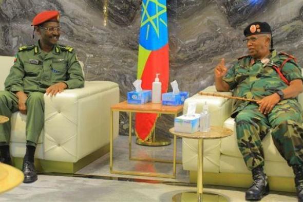 لبحث التعاون العسكري.. لقاء ثنائي بين قوات إثيوبيا و"صوميالاند"