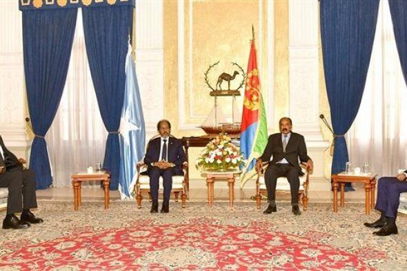 اجتماع صومالي وإريتري.. هل من أجل إثيوبيا؟