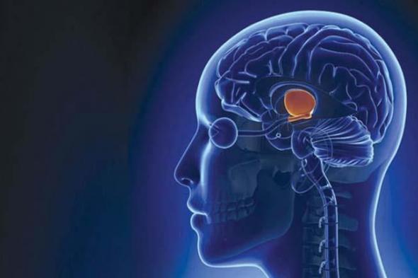 6 علامات تشير للإصابة بمرض خطير في الدماغ.. منها تغير المزاج