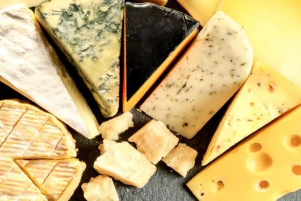 الامارات | خبيرة تغذية تنصح: تناولوا الجبن المعالج حرارياً بكميات محدودة