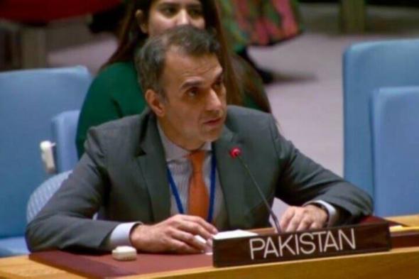 باكستان: مجلس الأمن أصيب بالشلل