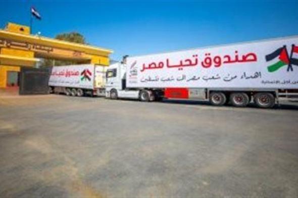 عبور 110 شاحنة من ميناء رفح تمهيدًا لإرسالها لغزة