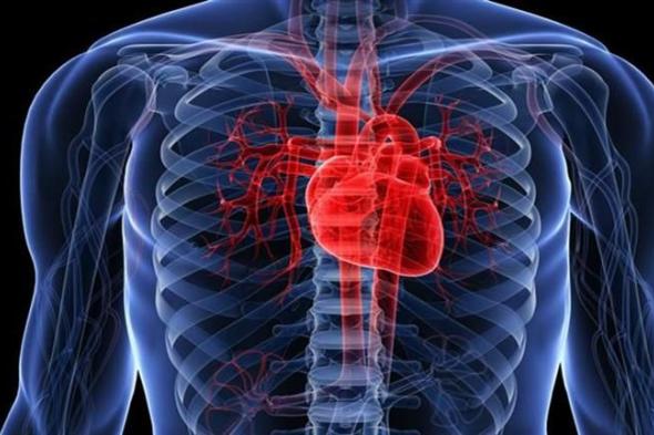 طبيبة تكشف أسباب "تمزق القلب"