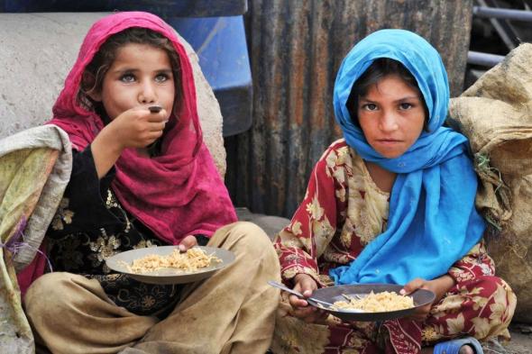 الأمم المتحدة: المقاطعات الأفغانية كلها تواجه انعدامًا في الأمن الغذائي