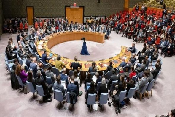 البعثة الروسية: مجلس الأمن يعقد اليوم اجتماعين بشأن غزة واليمن