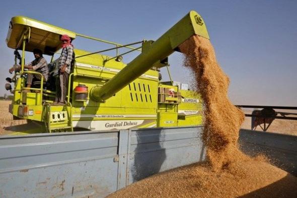 الهند تمدد قرارها بشأن تصدير القمح