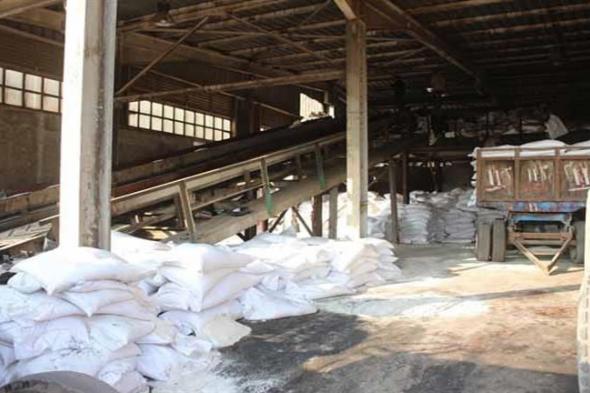 مدير معهد المحاصيل السكرية يكشف أسباب توقف مصنع أبو قرقاص للسكر