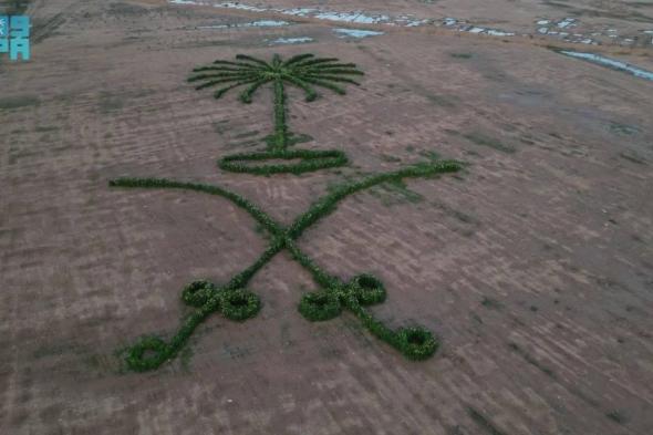 رفحاء.. مواطن يصنع لوحة فنية لشعار المملكة من النباتات البرية