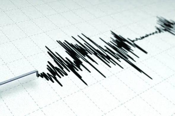 زلزالٌ بقوة 5 ريختر يضرب قبالة ساحل تونغا