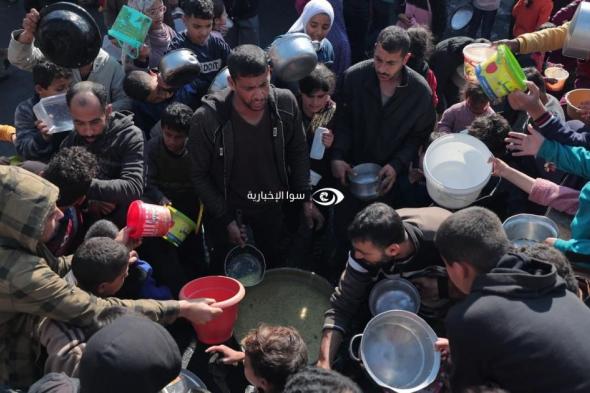 توافق مصري صيني على ضرورة وقف إطلاق النار في غزة فورا