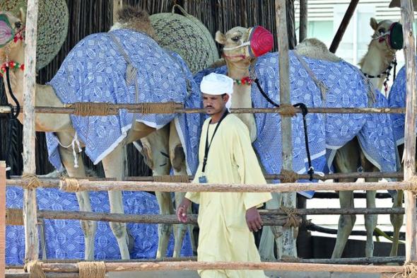 الامارات | «مهرجان الحصن».. الماضي والحاضر في قلب أبوظبي