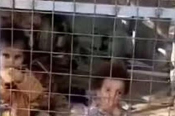 الامارات | فيديو صادم لأم تحبس طفليها في قفص بحديقة عامة بالعراق