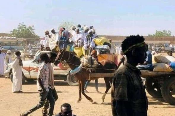 وزير الخارجية السوداني: فشل إيقاف الحرب سببه عدم التزام "الدعم السريع"