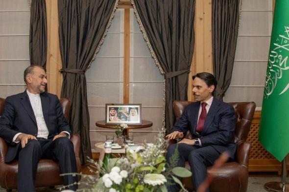 وزير الخارجية يلتقي نظيره الإيراني في دافوس