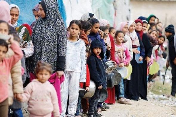 مصر والنرويج: حشد المزيد من الدعم الدولي الإنساني إلى غزة