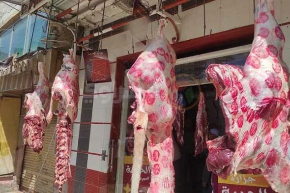 أسعار اللحوم تحرق جيوب المواطنين والمربين.. وخبراء يضعون روشتة للخروج من الأزمة