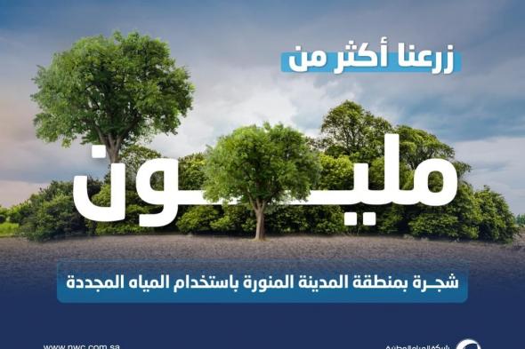 السعودية | “المياه الوطنية” تنهي زراعة أكثر من مليون شجرة بالمدينة المنورة ضمن مبادرة السعودية الخضراء