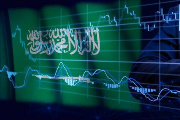 الخليج اليوم .. تقرير يرصد أسماء أكبر الملاك الأفراد في سوق الأسهم السعودي