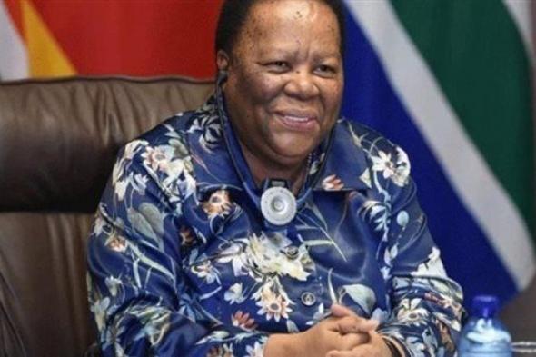 وزيرة جنوب إفريقية: يجب إجراء مفاوضات لحل الدولتين وإنهاء الصراع