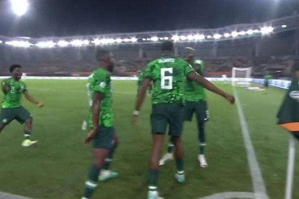 الفار يلغي هدف نيجيريا الأول أمام الكاميرون