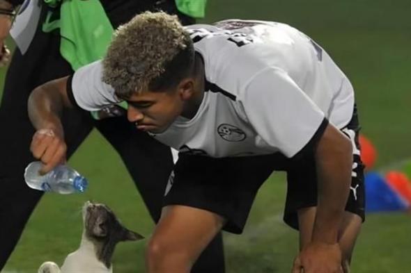 حقيقة صورة لاعب منتخب مصر مع القطة