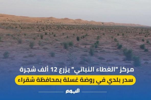 فيديو| مركز ”الغطاء النباتي“ يزرع 12 ألف شجرة سدر بلدي بمحافظة شقراء