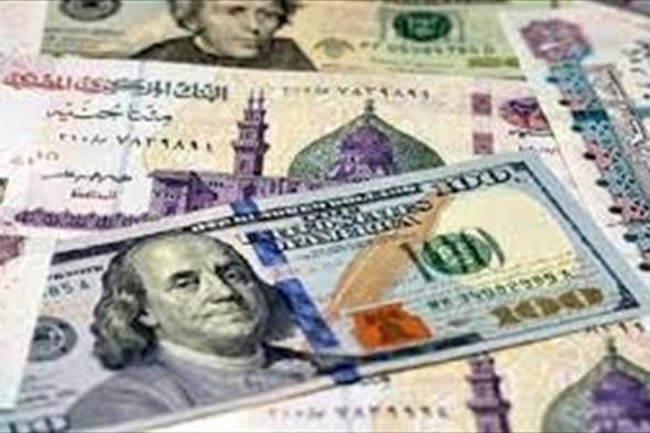 الدولار يسجل مستوى تاريخيا امام الجنيه المصري