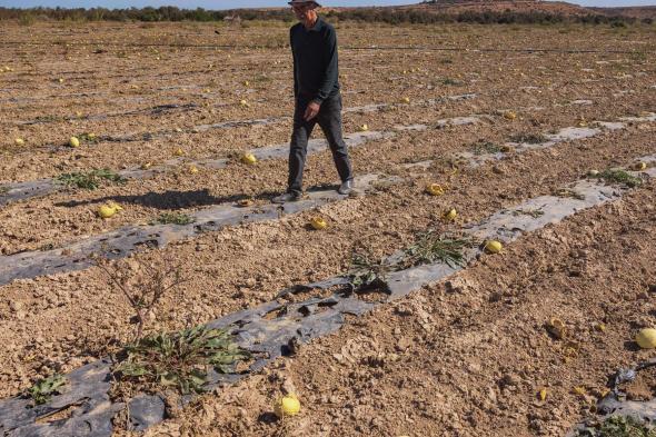 استمرار الجفاف يهدد قطاعات عدة في المغرب.. ما حجم التأثير؟