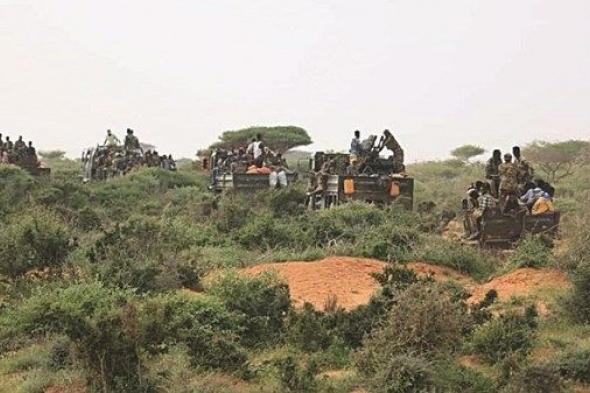 مقتل 6 من قيادات حركة «الشباب» الإرهابية وسط الصومال