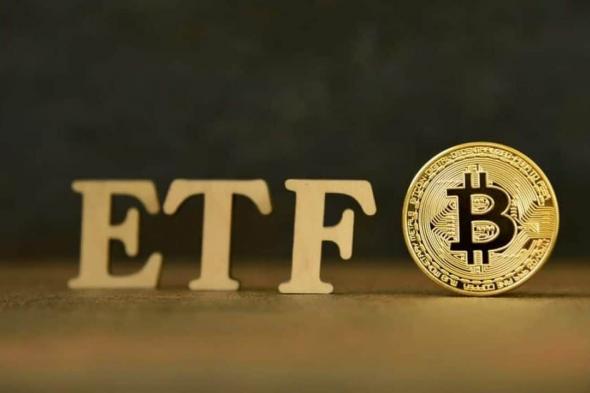 تأثير ETF البيتكوين أخيرا أصبح هنا:دخول تدفقات مالية على مدى أربعة أيام متتالية