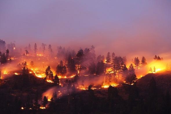 مصرع 19 شخصاً بسبب الحرائق في تشيلي