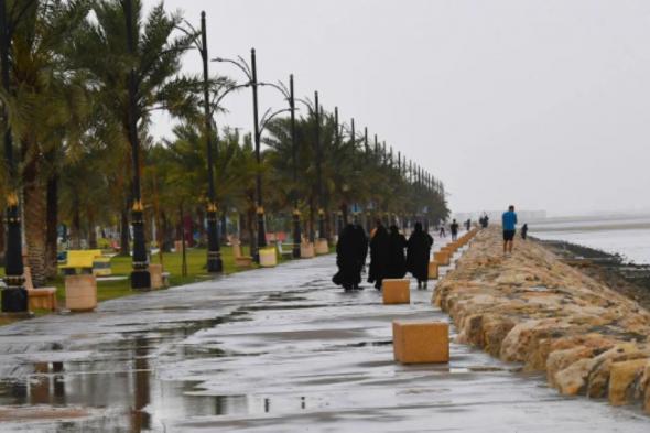 طقس السعودية اليوم.. أجواء باردة وغيوم بأغلب المناطق