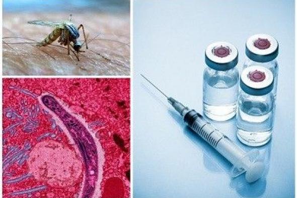 باحثون سعوديون يكتشفون الجين المسؤول عن أخطر سلالات الملاريا القاتلة