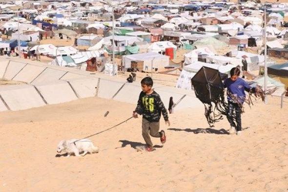 الأمم المتحدة: نقص الغذاء يهدد 300 ألف في شمال ووسط غزة