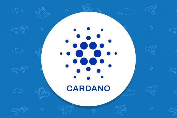 مؤسس كاردانو يحدد التحدي الأكبر الذي قد يواجهه المشروع
