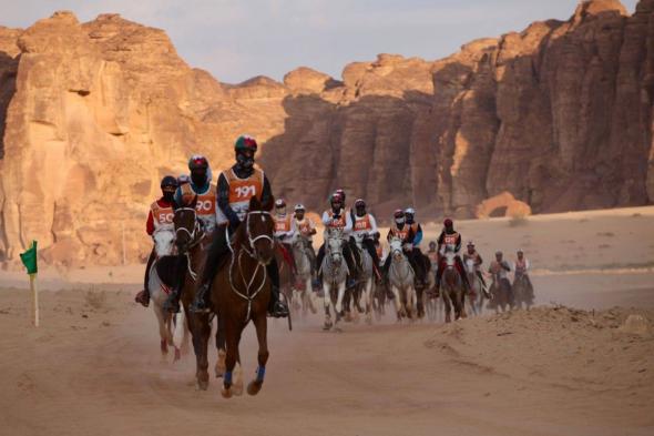 النعيمي يتوج بلقب كأس الملك للقدرة والتحمل