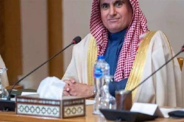 مندوب السعودية الدائم لدى الجامعة العربية يلتقي عمرو موسى